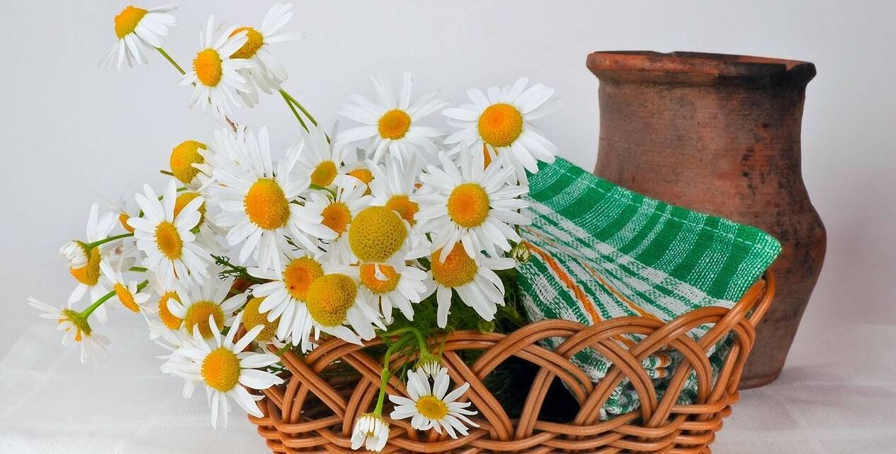 chamomile ပန်းတွေကနေ မျက်နှာဆိုးဆေးလုပ်နည်း